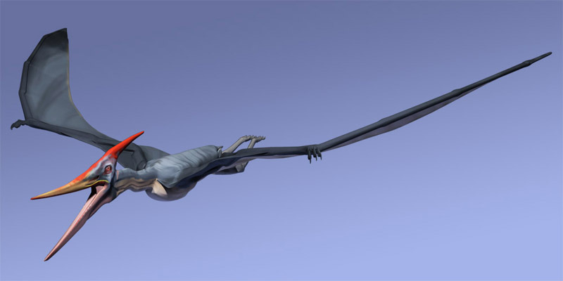 Pteranodon