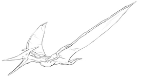 Pteranodon 2