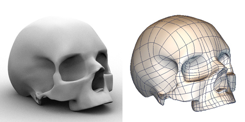 My first attempt at modeling a human skull